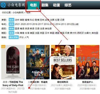 小白网电视剧官方版下载图片4